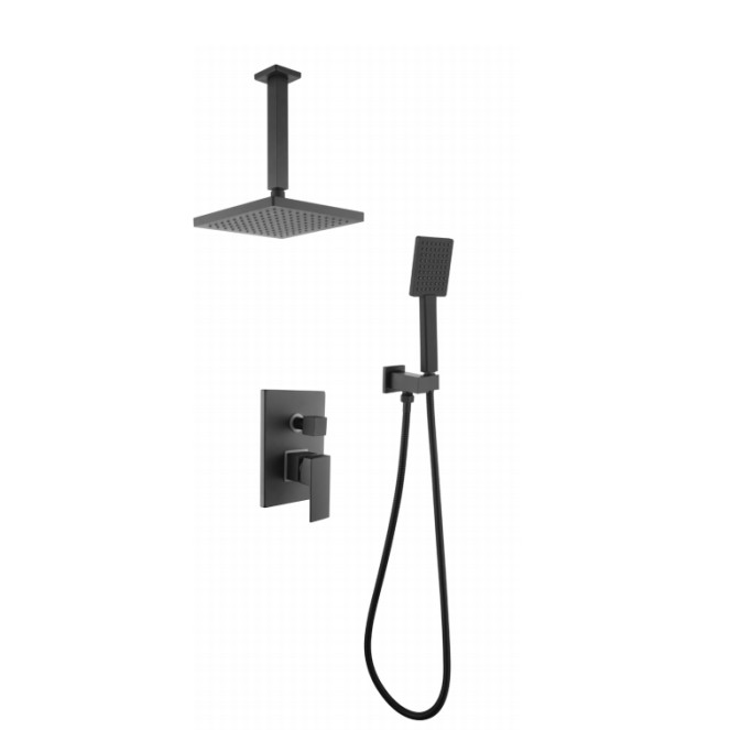 Dual Function Concealed Shower System