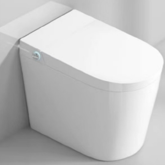 Intelligent Toilet