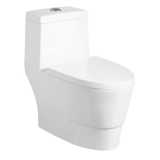 Super aquae salva CULTUS